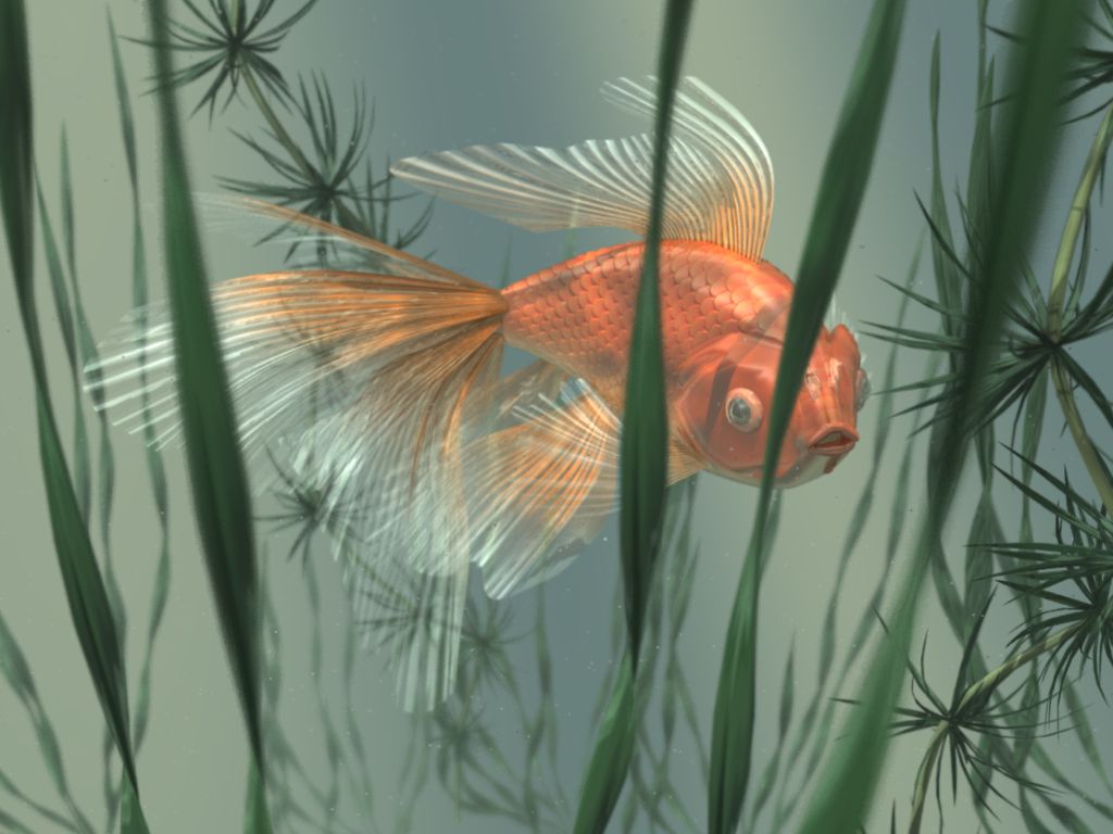 http://www.artofillusion.org/gallery/files/fish.jpg